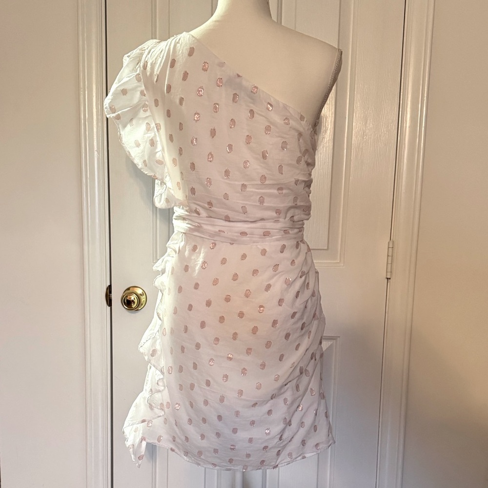 “LOVERS + FRIENDS” X Revolve Whitney Rose Dress - Picture 12 of 16